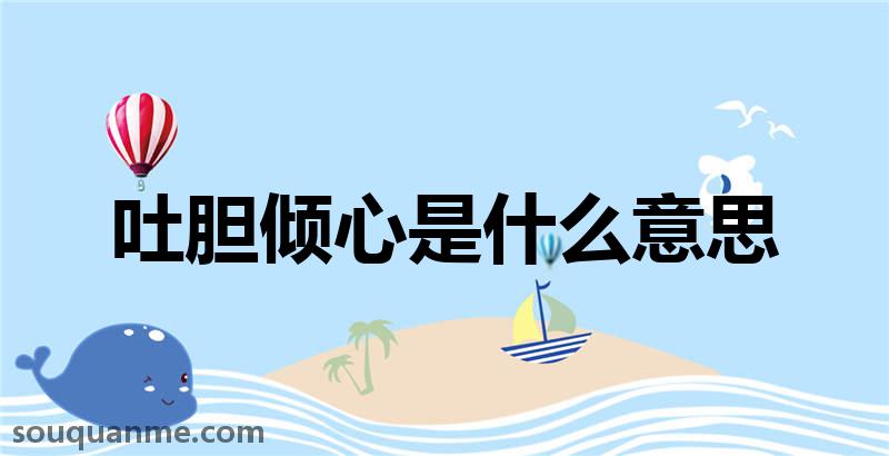 吐胆倾心是什么意思 吐胆倾心的拼音 吐胆倾心的成语解释